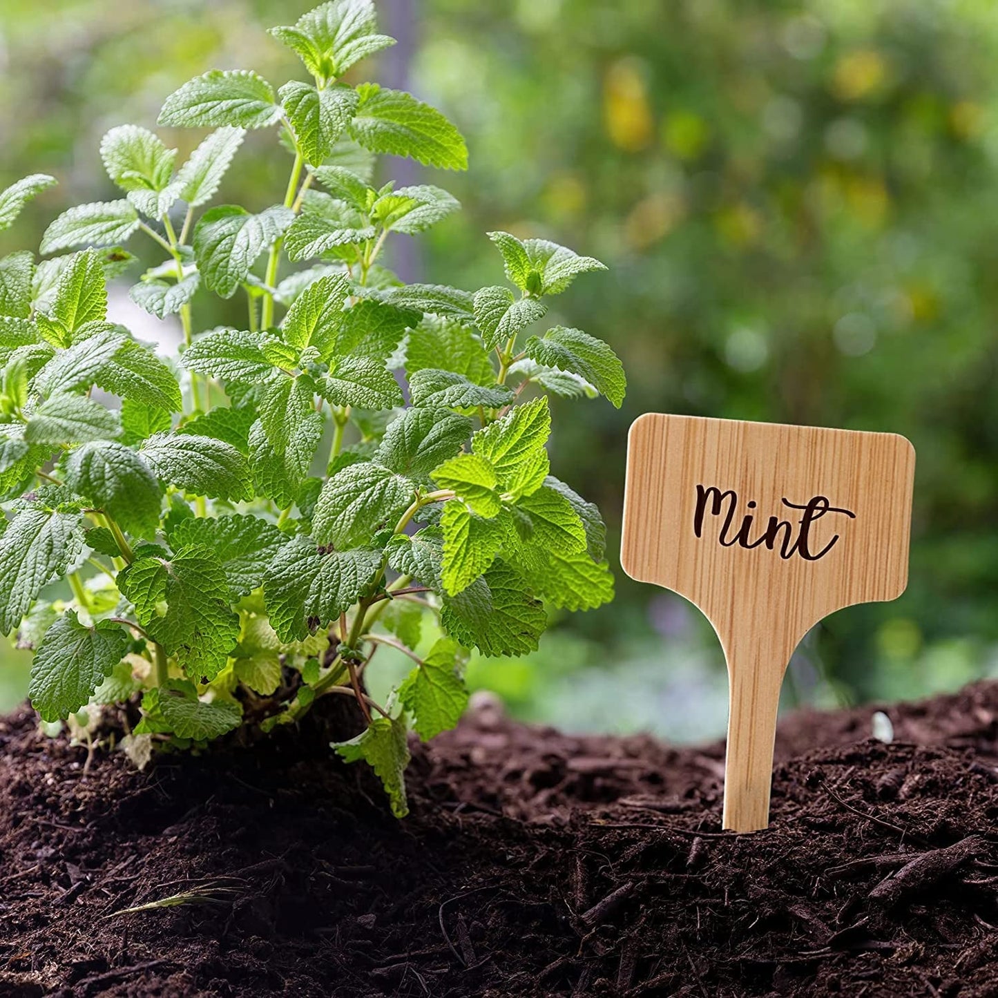 100Pcs Plant Labels, Garden Plant Markers, Plastic T-Type Plant Tags, Waterproof Garden Signs for Outdoor Garden Plants Garden Potted Plants (3.9” X 2.4”)