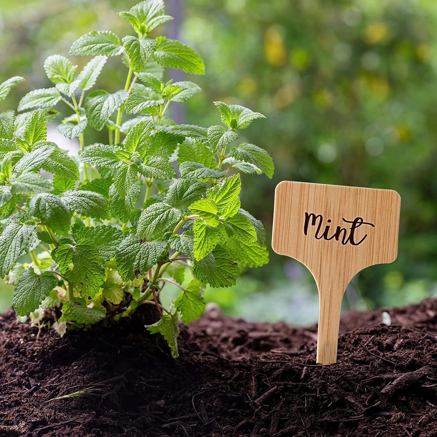 100Pcs Plant Labels, Garden Plant Markers, Plastic T-Type Plant Tags, Waterproof Garden Signs for Outdoor Garden Plants Garden Potted Plants (3.9” X 2.4”)